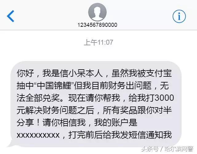 中国锦鲤的套路有哪些呢,中国锦鲤为什么火了