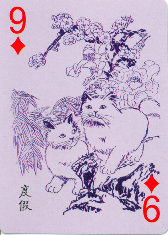 猫谱扑克欣赏,明星扑克牌欣赏