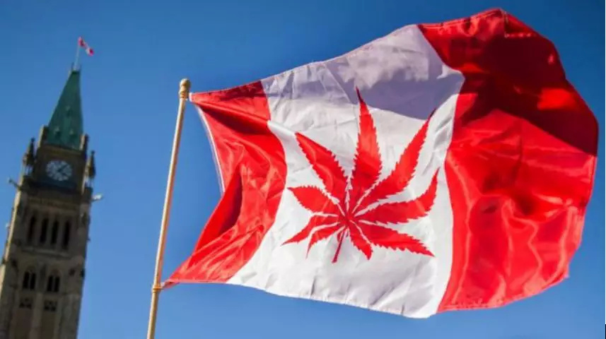 为什么加拿大大麻要合法,加拿大为什么被称为加拿大