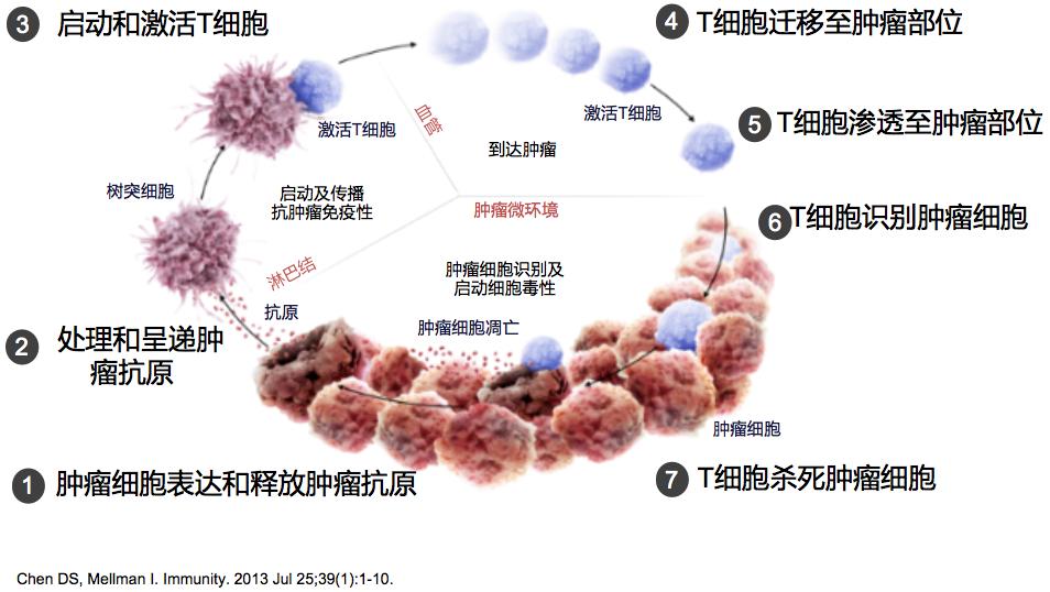 王孟昭看肺癌怎么样,王孟昭大细胞肺癌
