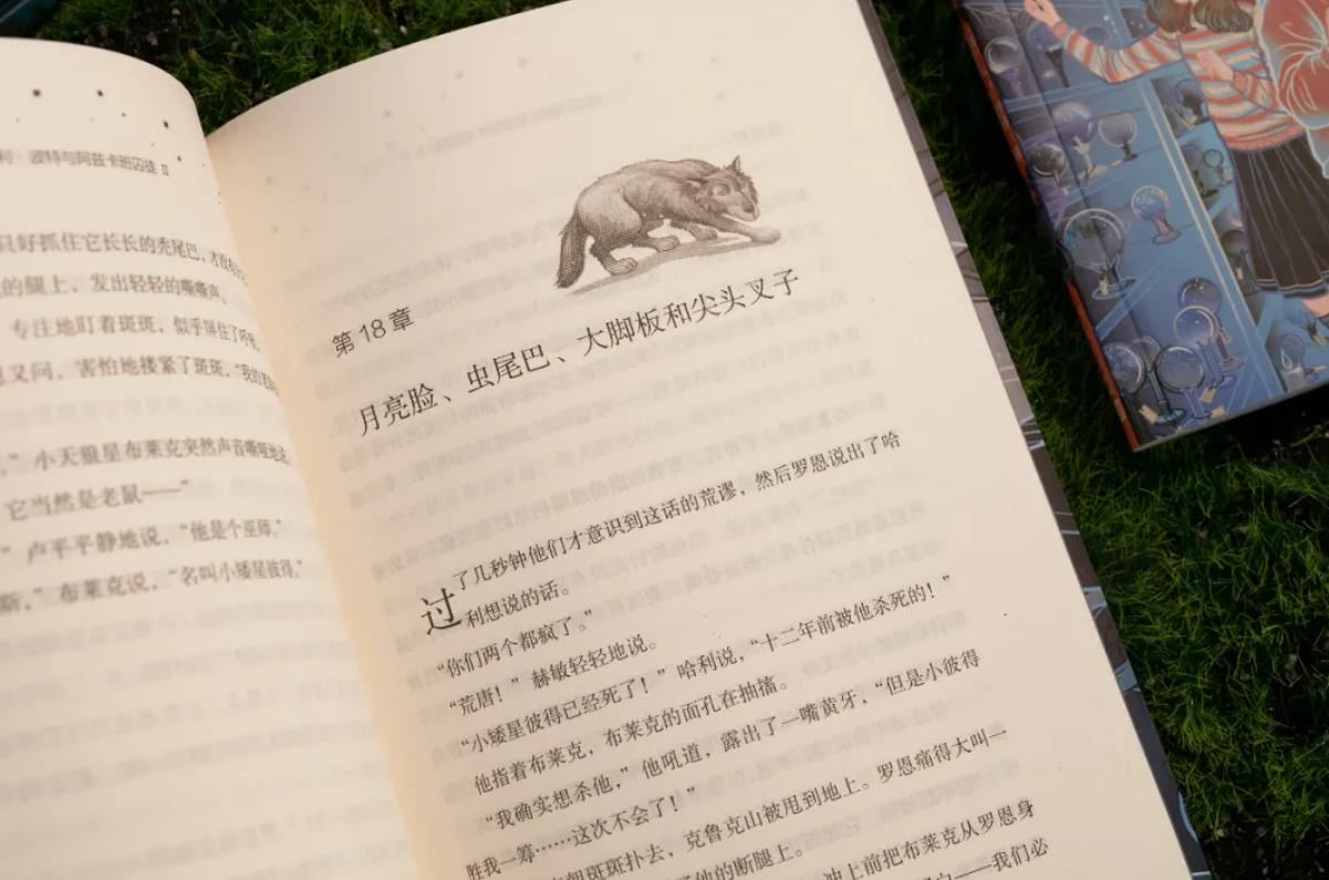 哈利波特20周年完整版免费观看,哈利波特20周年纪念版适合多大读