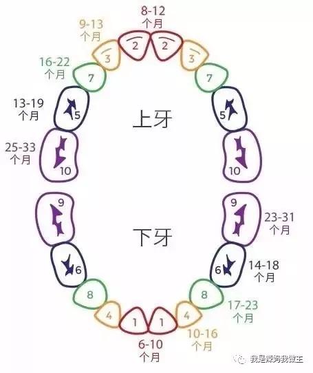 宝宝长牙要怎么护理,宝宝长牙怎么护理视频