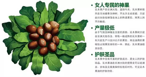 关于美容，一篇让你相见恨晚的护肤文章！