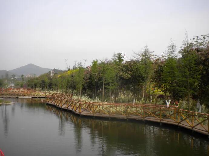 深圳免费公园哪里最好啊,深圳十大免费公园景点大全