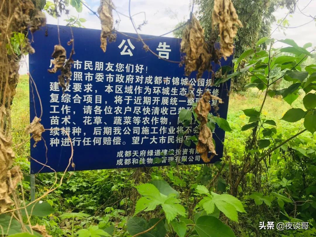 大丰发展潜力最大的片区,大丰区以后发展城东还是城西