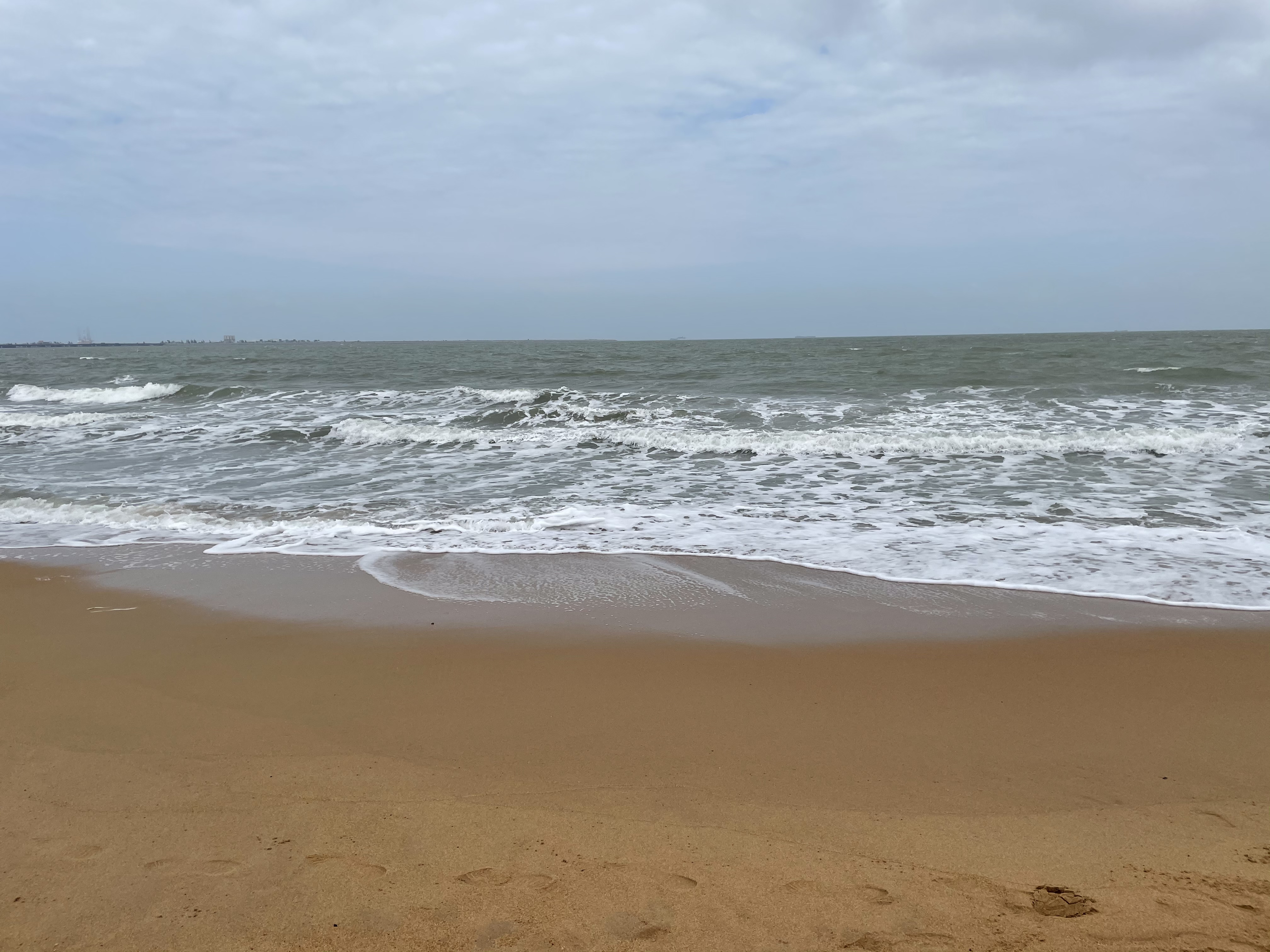 逐梦自贸海动椰城,逐梦海口嗨动椰城