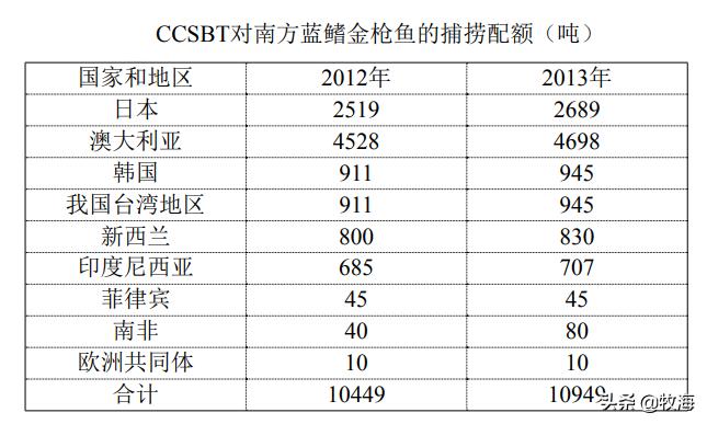 中国蓝鳍金枪鱼养殖牧场,深海大型网箱养殖蓝鳍金枪鱼