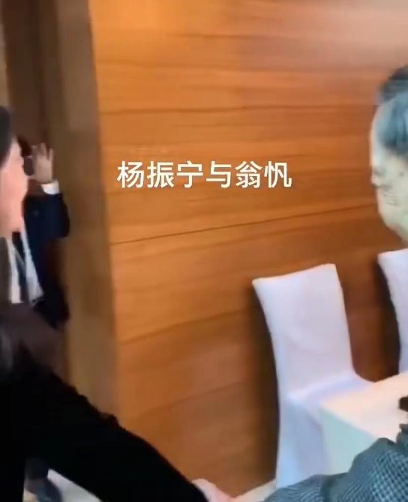 杨振宁与翁帆参加画展,和杨振宁结婚后翁帆的事业状态