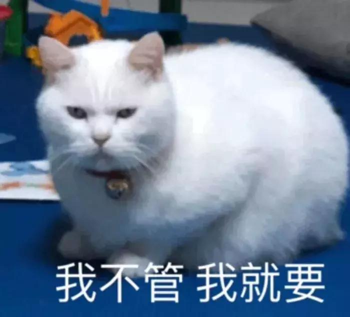 口红推荐平价小众几十块的口红,平价口红和大牌口红差别