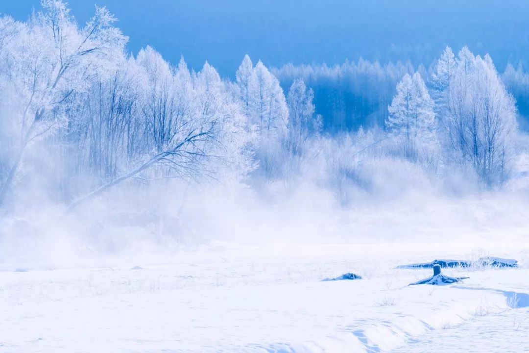 下雪了看看诗词中的雪之美,适合下雪的绝美诗句