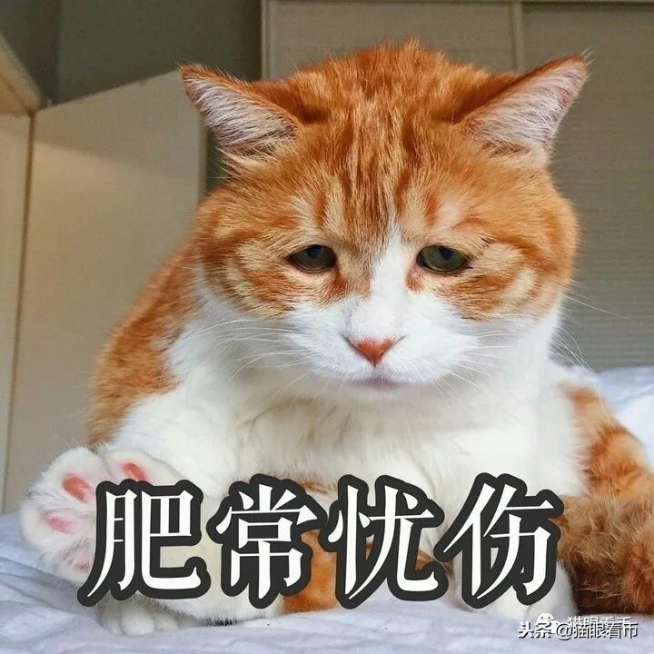 钱币海外拍卖成交是不是真实的 (海外拍卖钱币流程)