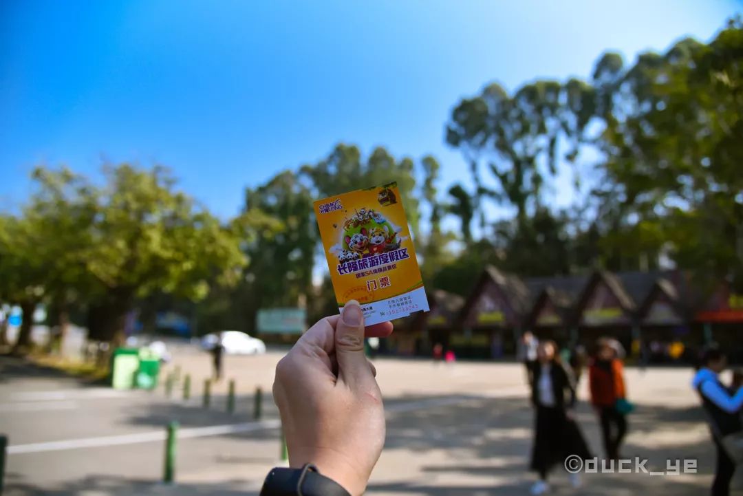 如何玩转广州长隆野生动物世界,自驾长隆野生动物世界攻略