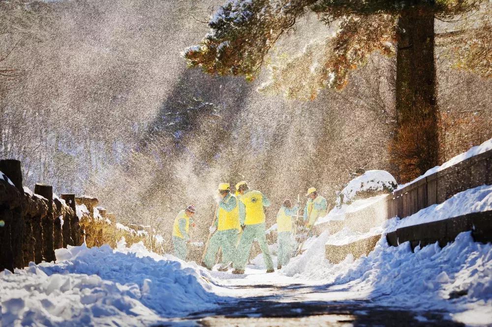 元旦去黄山旅游看雪景,元旦去云雾山跨年