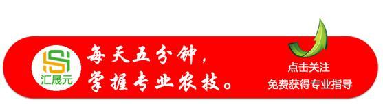 芦苇用什么除草剂根除,芦苇打不死教你一招直接去根