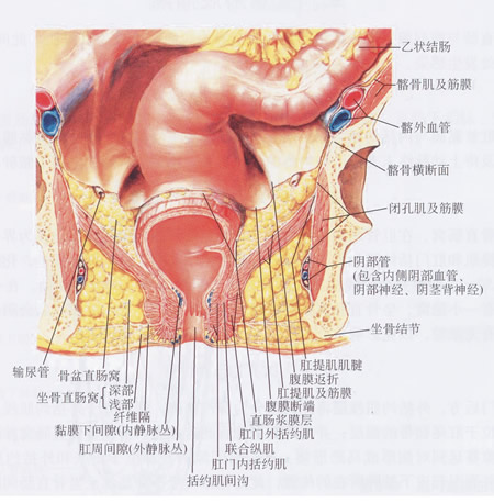 对于痔疮预防该从饮食开始,对痔疮最有效的治疗方法