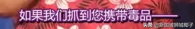 新加坡12件事,新加坡11件大事件