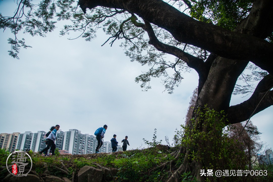 普宁童年记忆,遇见童年的记忆