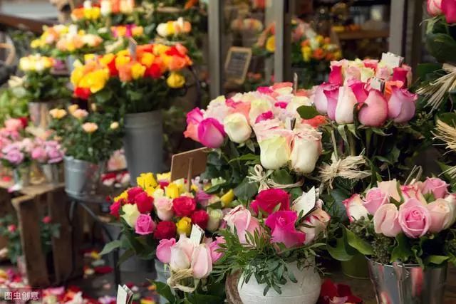 开花店花艺工作室,开花艺工作室怎么选