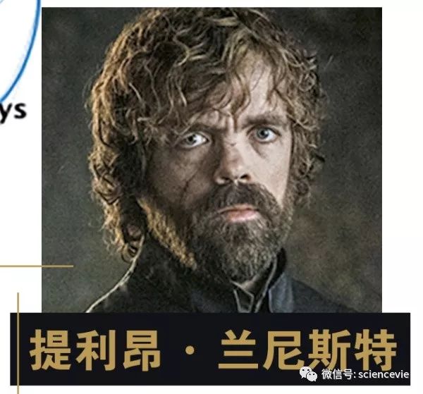 ai鎻鍓嶄笘浠婄敓,ai鎻
