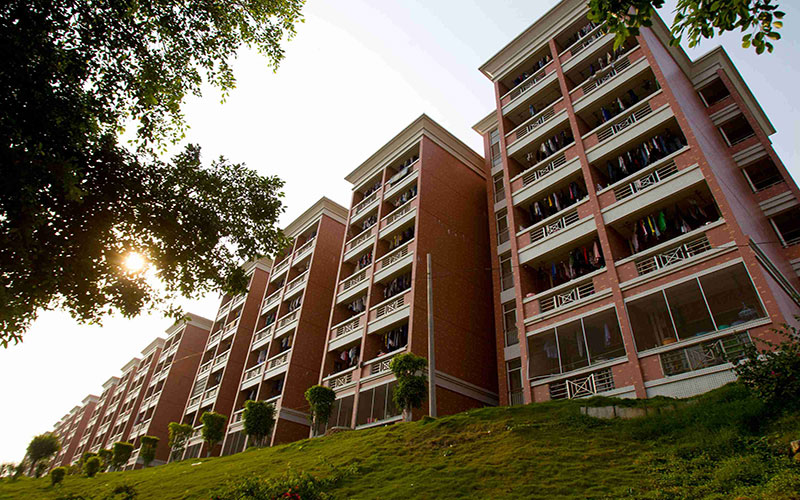 广州大学松田学院：投档线出炉！文科462分，理科446分