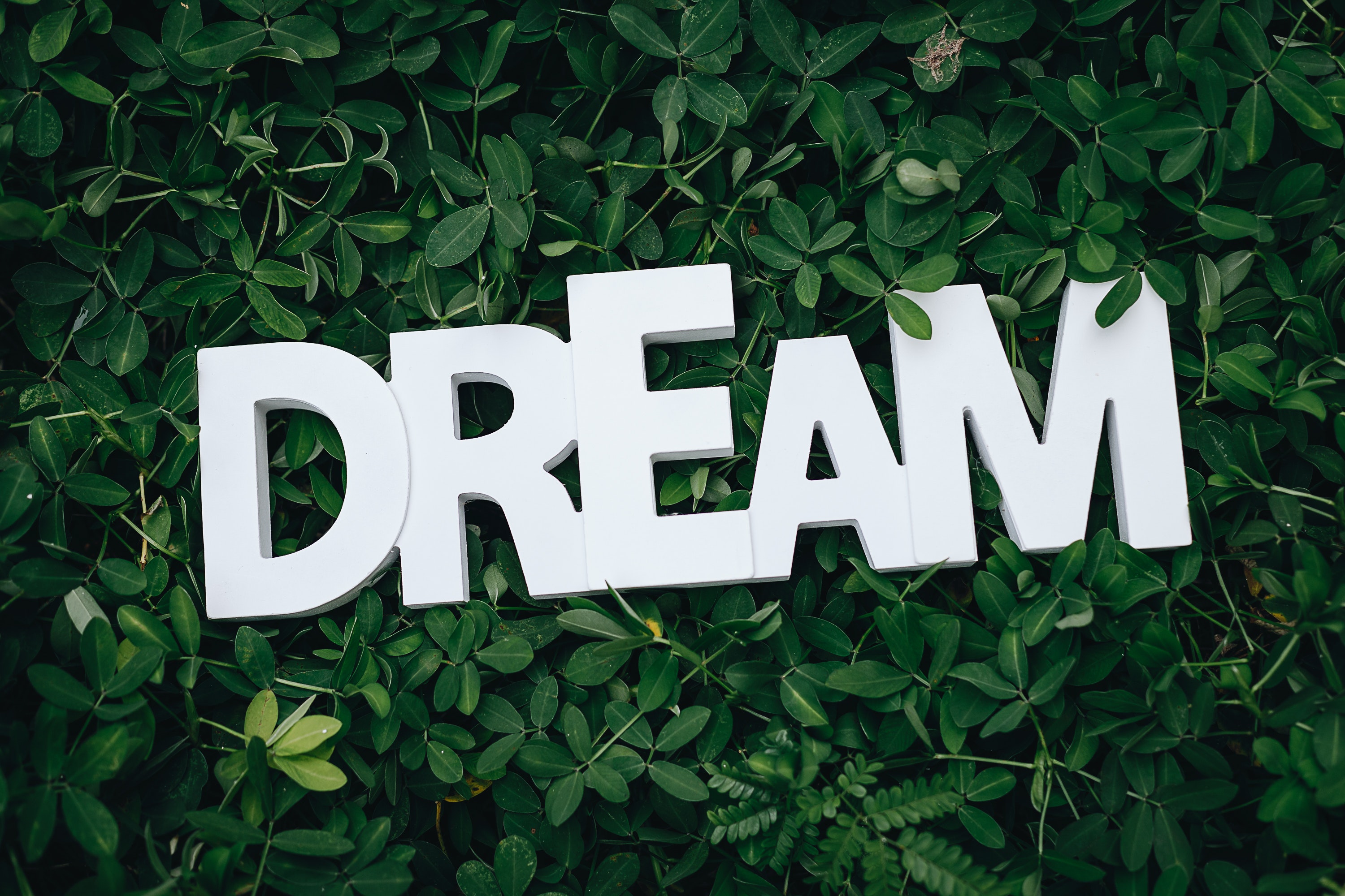 bornfordream,bornfordreams