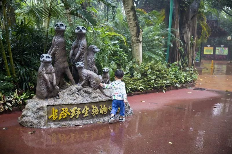 长隆旅游攻略亲子游省钱攻略,广州长隆三天二夜亲子游旅游攻略