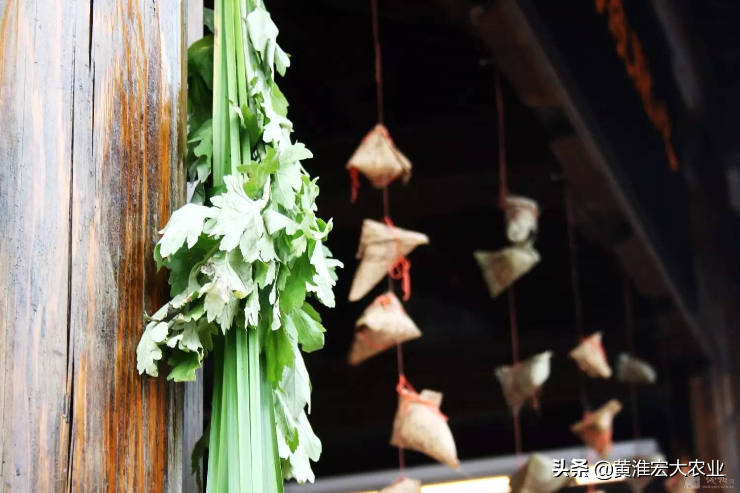 端午节吃蒜的习俗,端午吃大蒜是什么意思