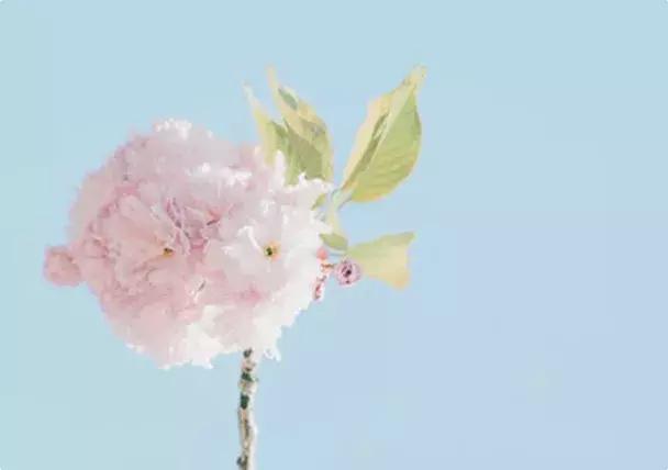 今天是中国的节日,今天是中国传统节日