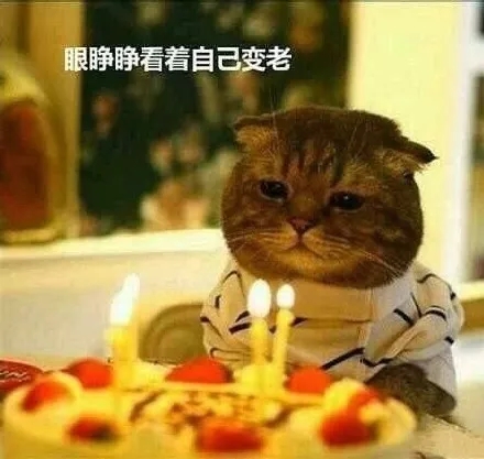 儿子十岁生日文案男孩专用,适合自己过生日发的文案和图片