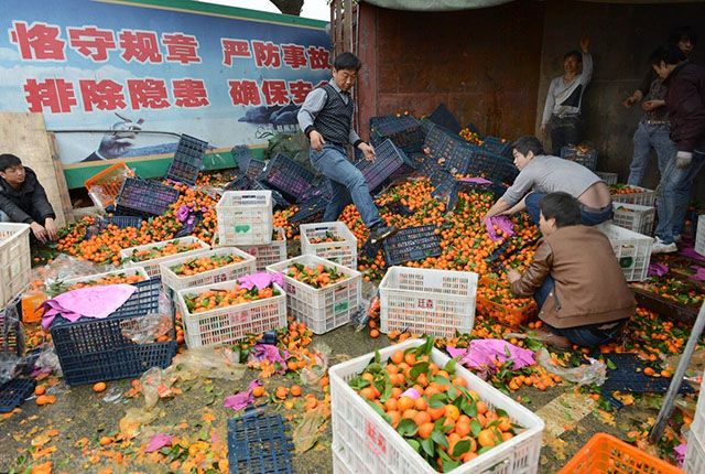 砂糖橘跟普通橘子有区分吗,真的砂糖橘和假的砂糖橘