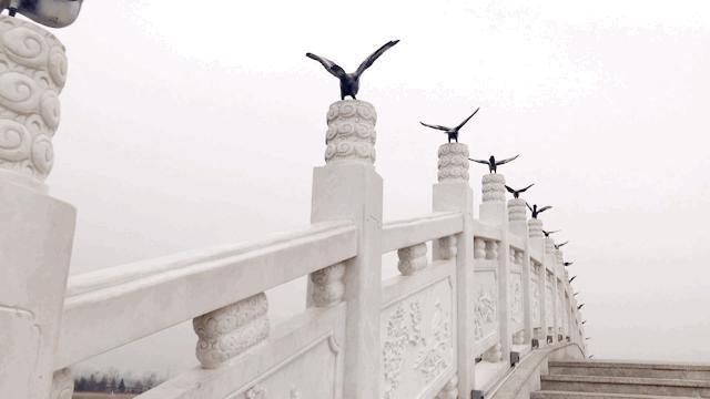 西安又添绝美海滩,西安网红打卡白沙滩