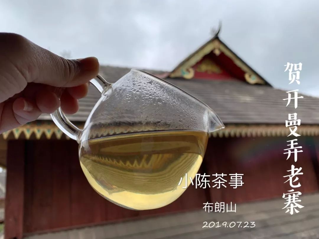 普洱茶古树茶小众山头,普洱茶古树茶与台地茶的区分在哪