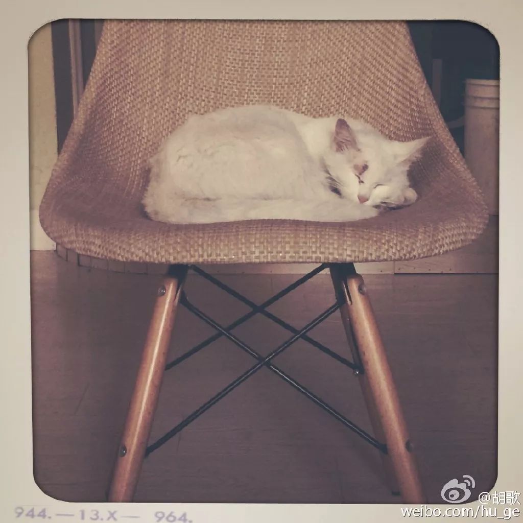 胡歌彭于晏和我,胡歌我和我的父辈