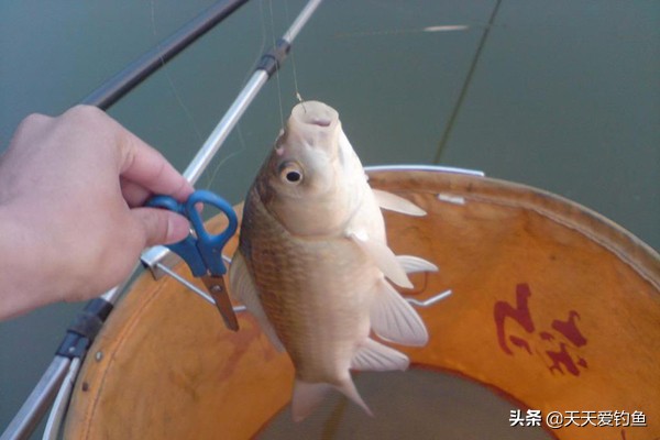 春季钓鱼的六个关键技巧,早春钓鱼把握几个重点爆护不再难