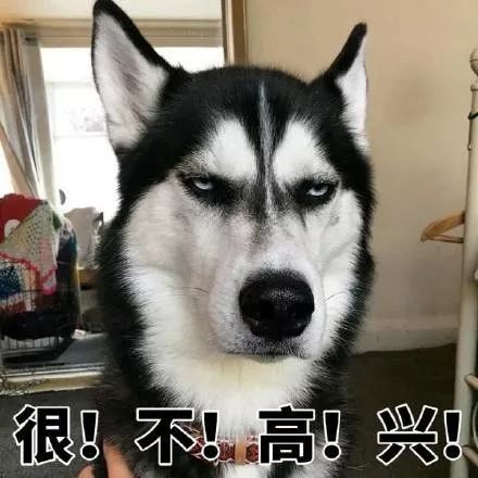 记住一副扑克牌的训练方法,怎样记住一副打乱的扑克牌