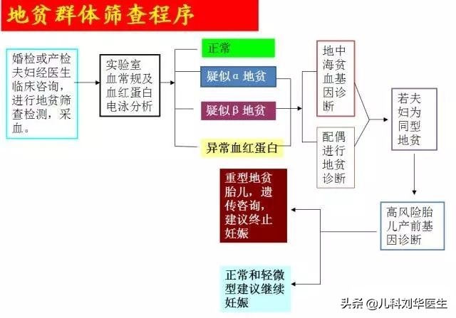 地中海贫血且缺铁的要补铁吗,轻度的地中海贫血会引起脾大吗