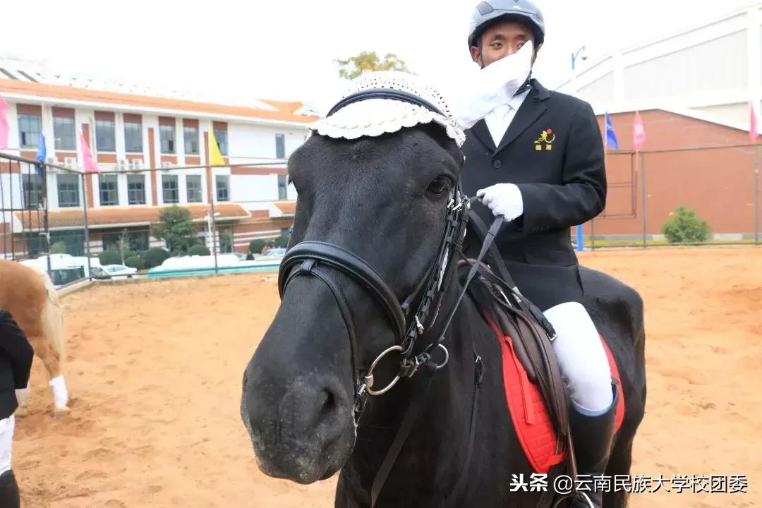 2023年呈贡民大运动会开幕式,大运会震动开幕式