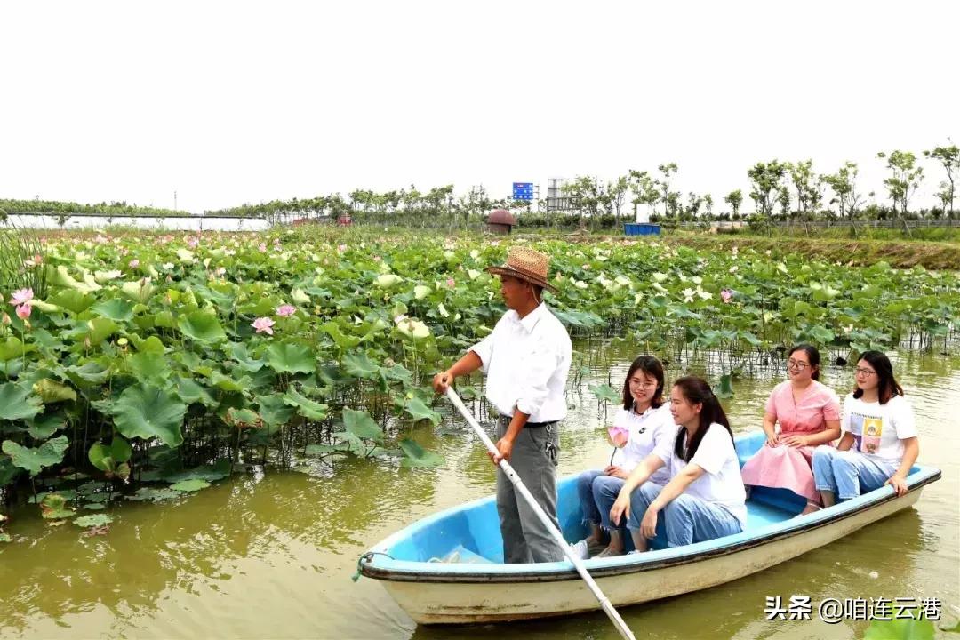 连云港现在采摘园有什么可以摘,连云港11月份采摘