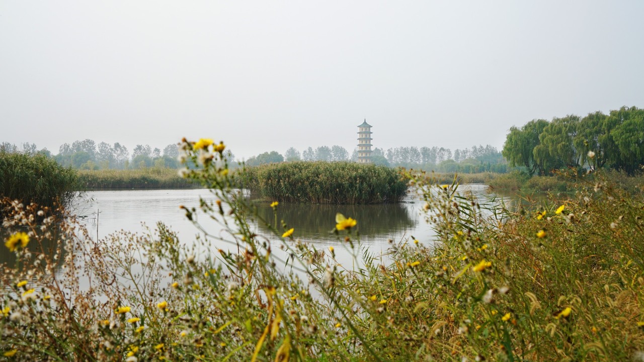 上海出发沿海自驾游攻略最新,上海周边两天一夜自驾自由行攻略