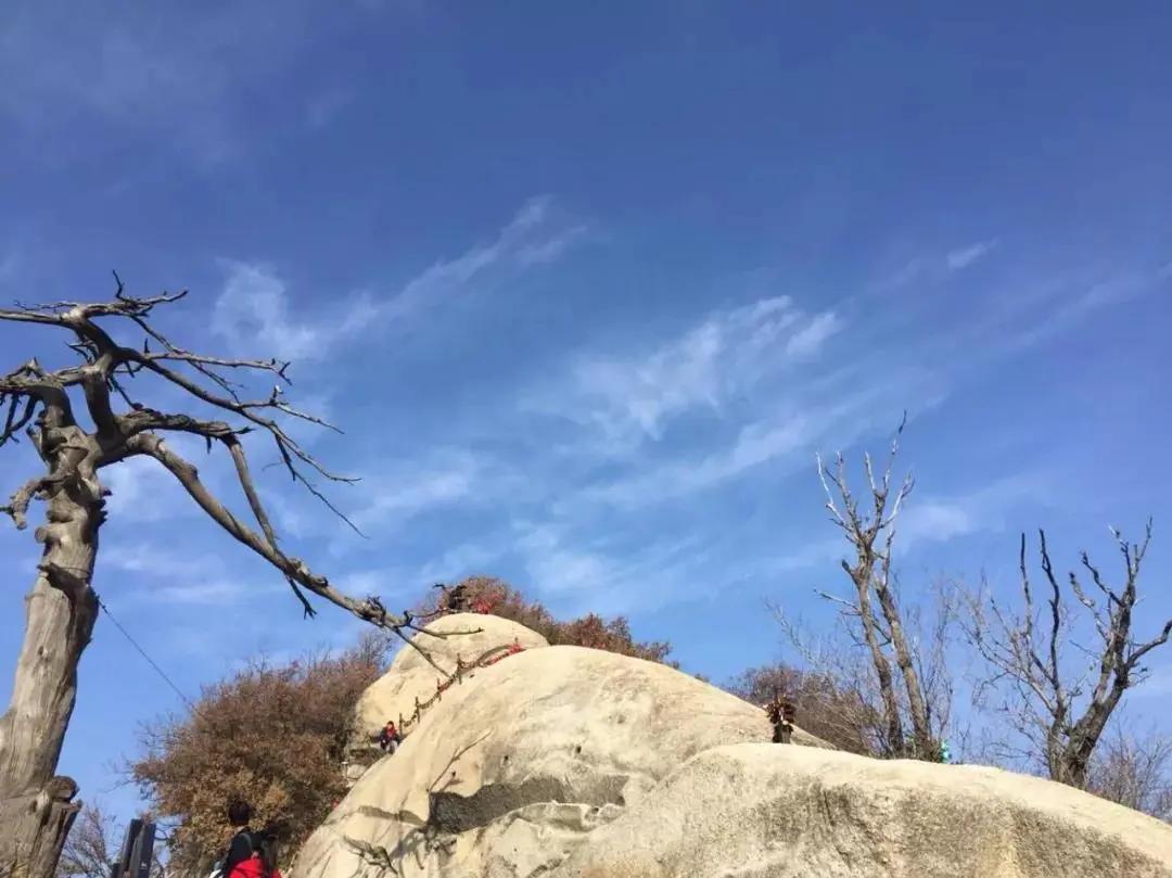 守得云开见月明拨开云雾见月明,守得云开见月明后续
