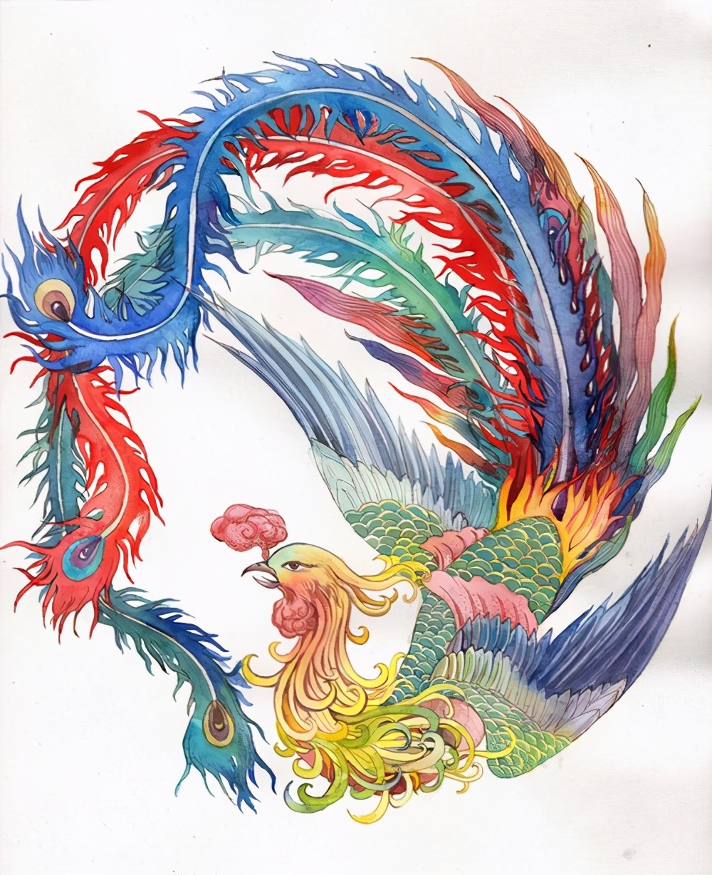 凤凰能浴火重生吗,凤凰真能浴火吗