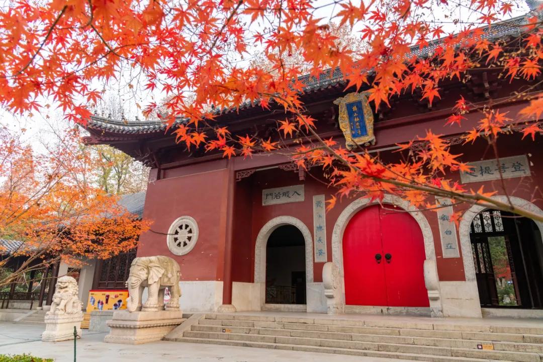这个牛人家族，建立了两个正统王朝