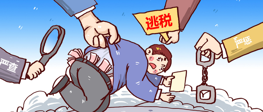 网红林珊珊年赚多少,网红雪梨林珊珊偷逃税被罚