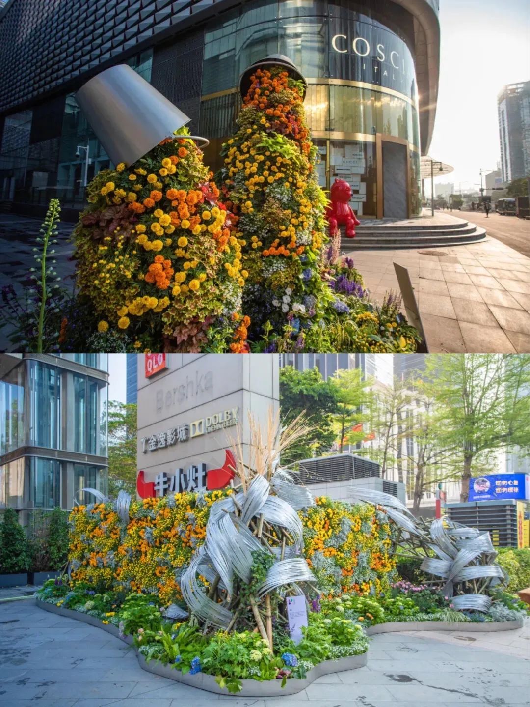 深圳花展2019年12月时间表,深圳第一场春天花展