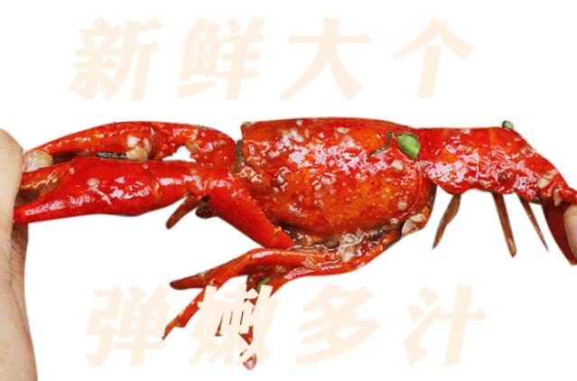 邯郸靓靓虾馆和文记虾馆,邯郸靓靓虾馆总店