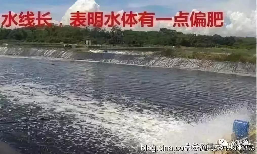 水产养殖水质评价标准,水产养殖水质怎么查看的