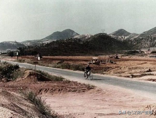 80年代的真深圳老视频,80年老照片真实的深圳