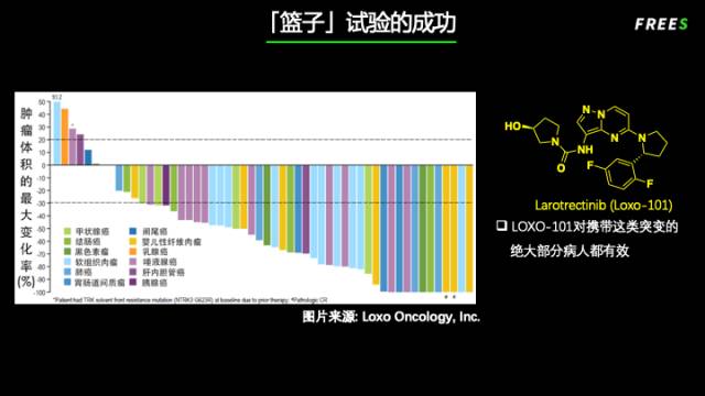 生命赌局——药物研发的冒险历程