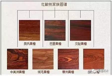 白酸枝和花枝有区分吗,花枝木和白酸枝有什么区分