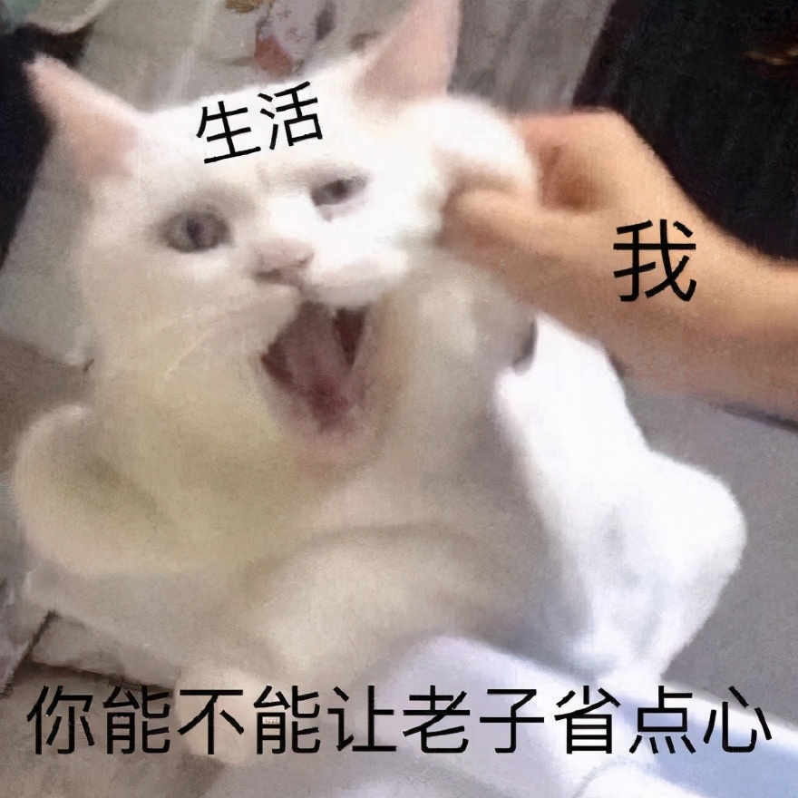 稳居文案,适合发朋友圈的憨憨文案